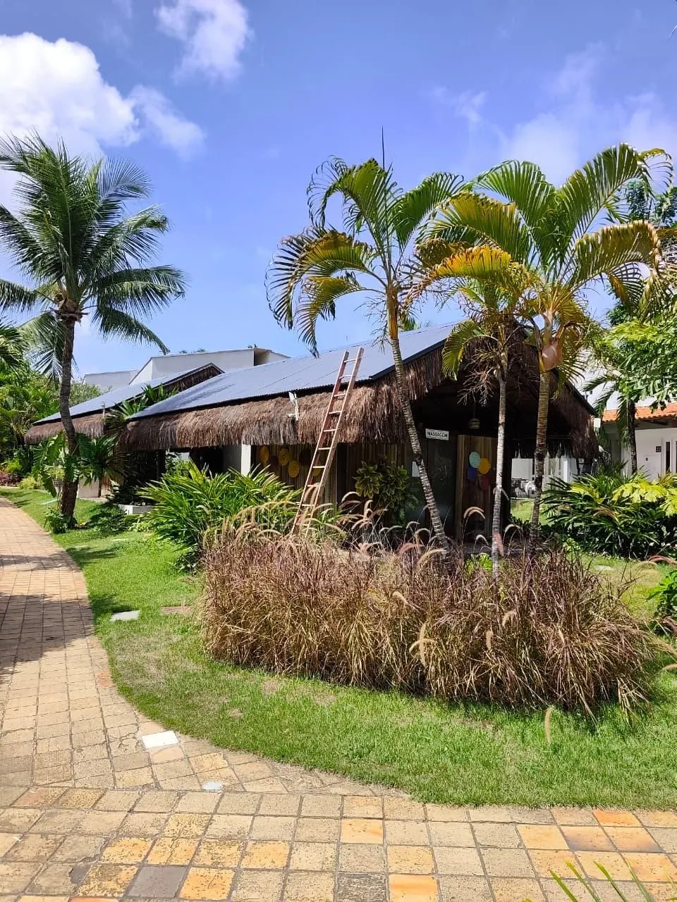 Empreendimento de hospitalidade em ambiente tropical com cobertura metálica termoacústica integrada ao paisagismo de coqueiros
